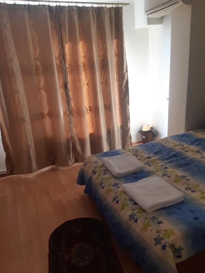 Lucian Studio Apartament