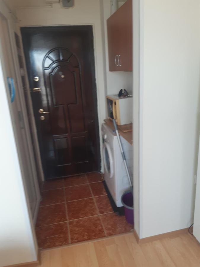 Lucian Studio Apartament